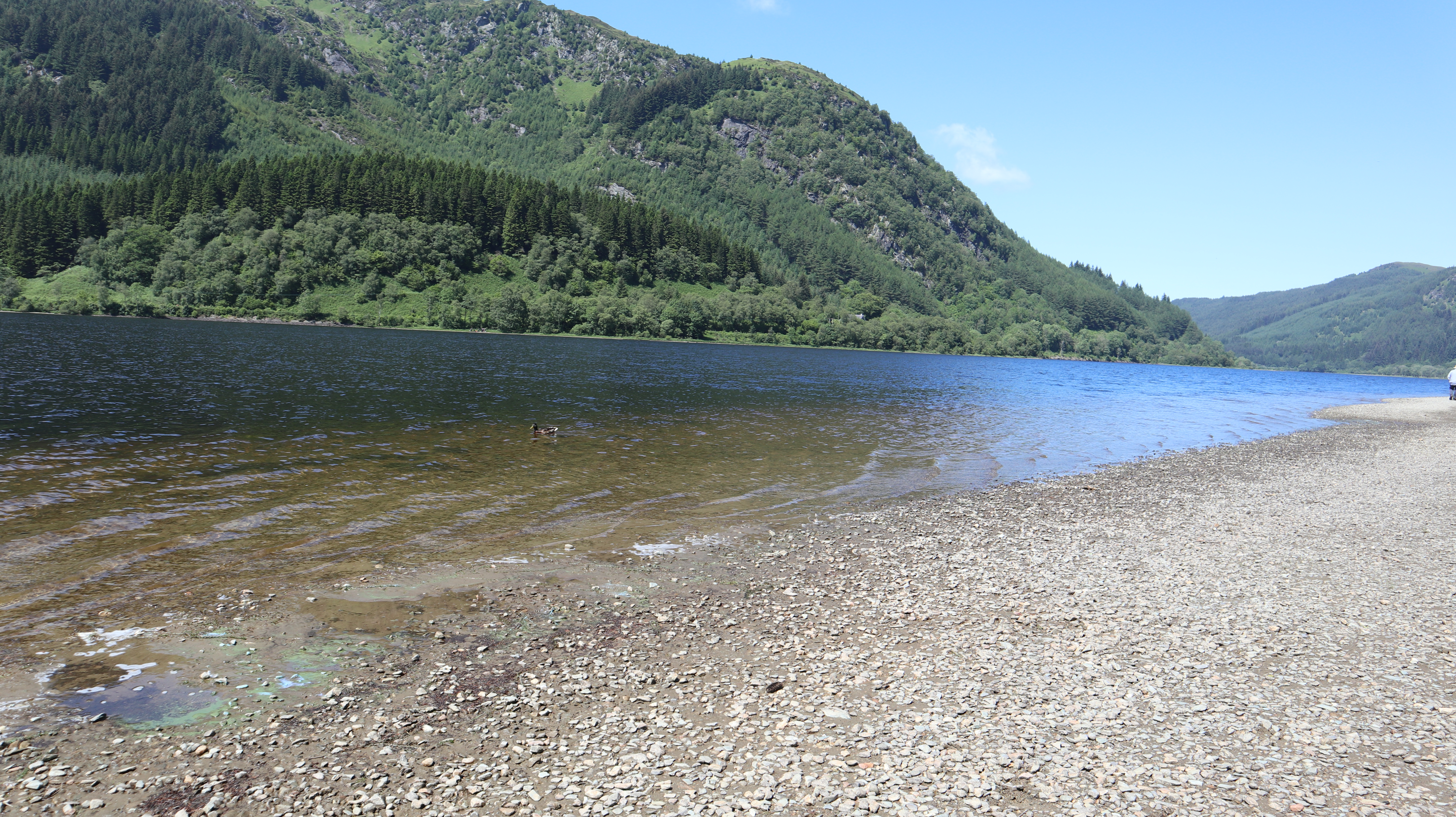 Pebble beach area near The Cabin